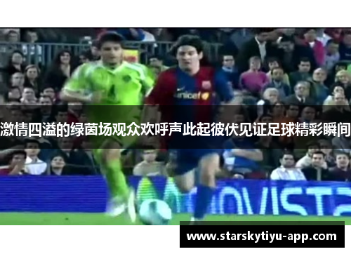 激情四溢的绿茵场观众欢呼声此起彼伏见证足球精彩瞬间
